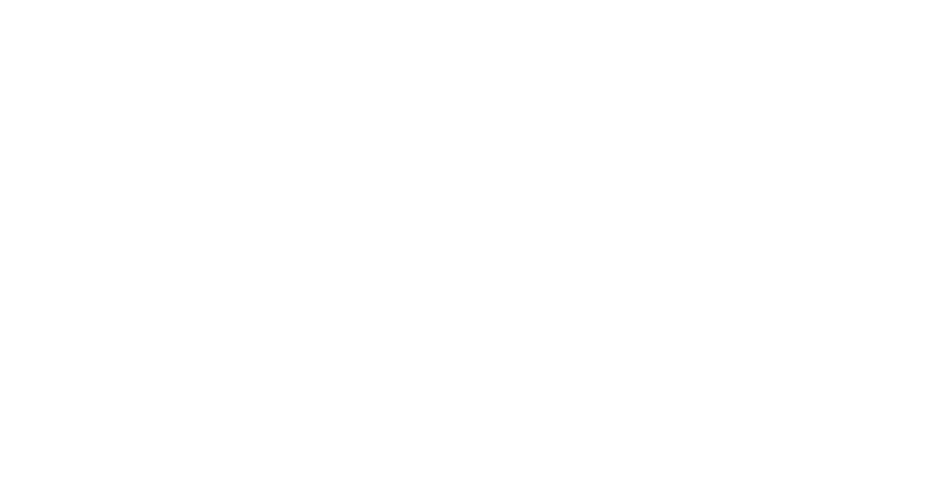 ninja_logo_big.png